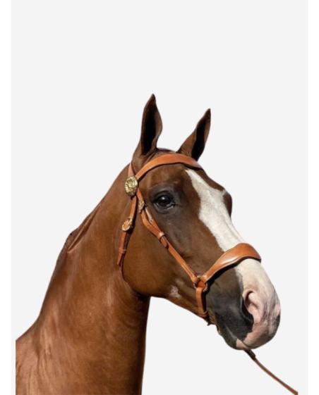 Bridon licol de présentation portugais