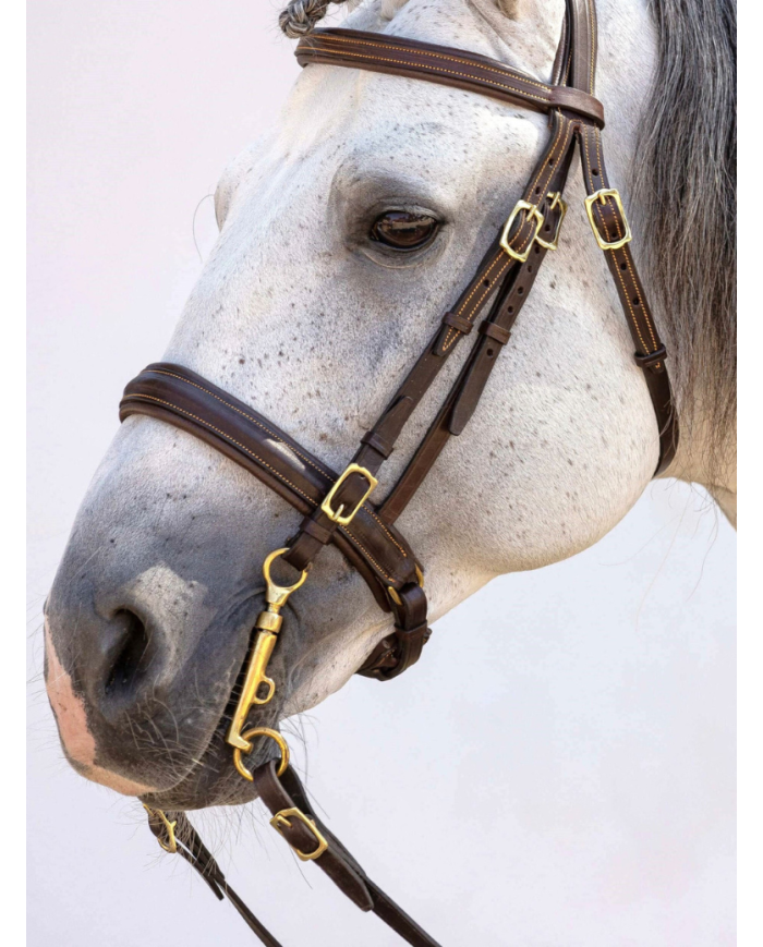 Bridon Portugais pull-back 100% personnalisable