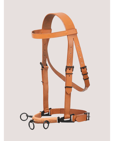 Caveçon espagnol 3 anneaux