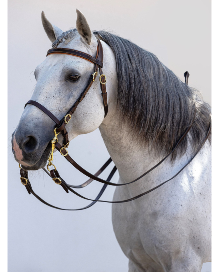 Bride portugaise Evora