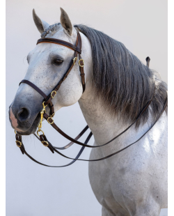 Bride portugaise Evora