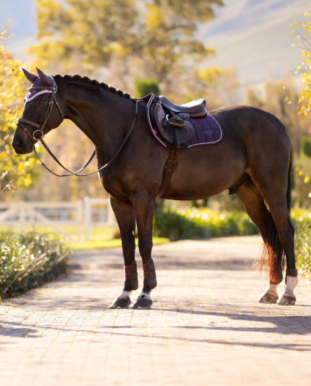 LEMIEUX - Tapis CSO Loire classic Juniper