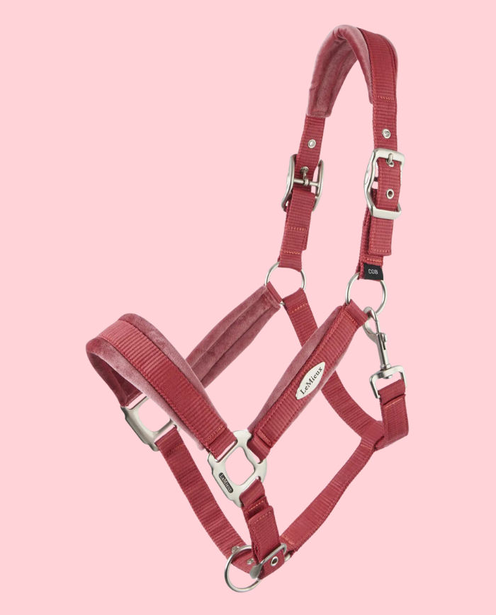 LEMIEUX - Licol Versaille Cranberry