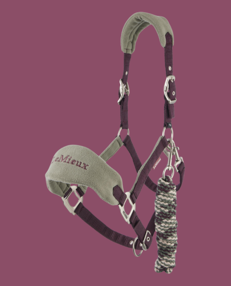 LEMIEUX - Licol et Longe Vogue Cranberry
