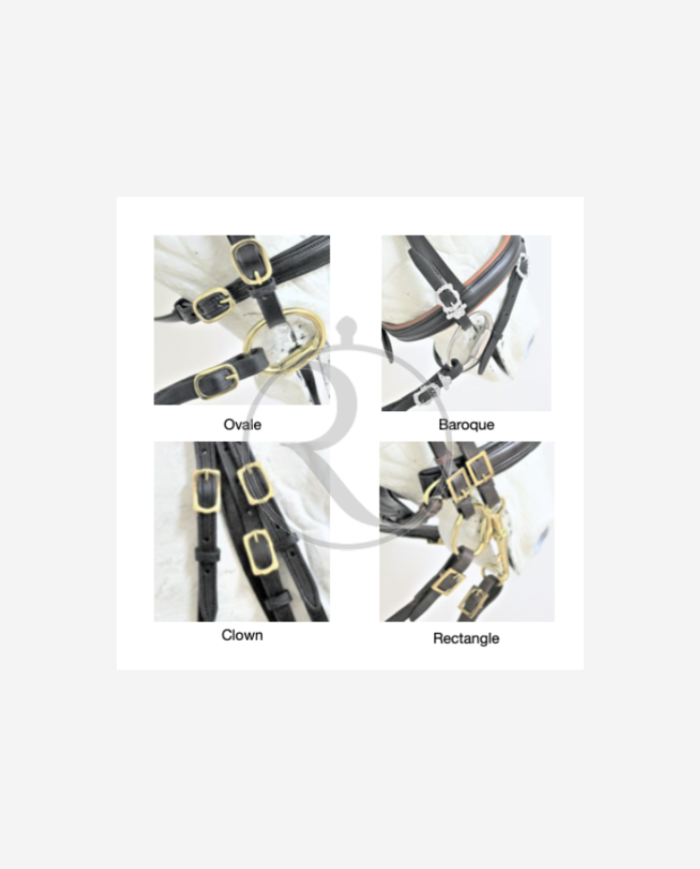 Bridon portugais EVORA