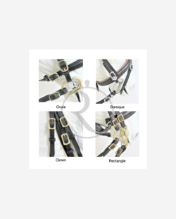 Bridon portugais EVORA