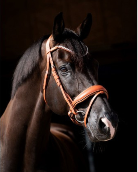 HB - Bridon Chesnuth cognac