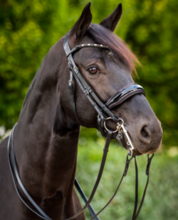 HB - Bride Special for you cristaux bordeaux