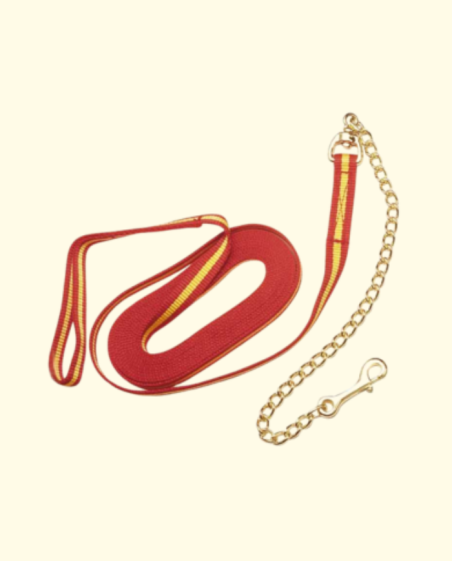 LONGE en Nylon de 6 m avec chaîne