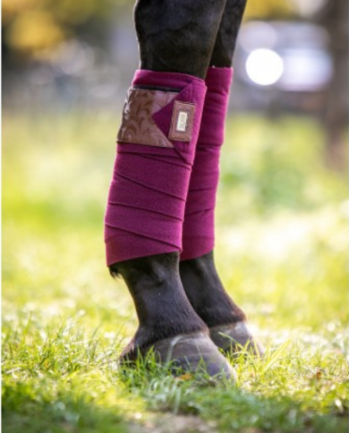 HB - Bandes de polo fleuries