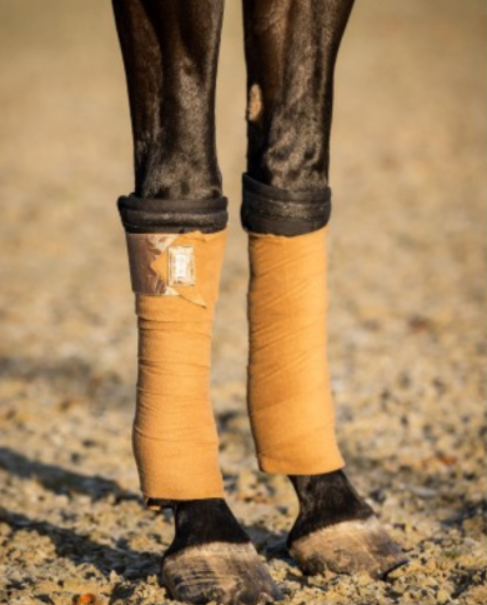 Bandes de polo fleuries