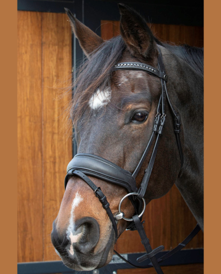 HARRY'S HORSE - Bridon soft Bombastic noir