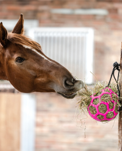 WALDHAUSEN - Boule à foin
