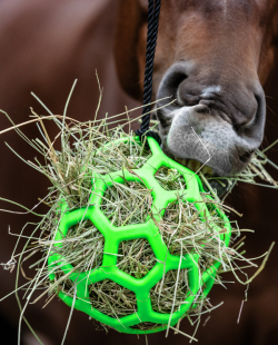 WALDHAUSEN - Boule à foin