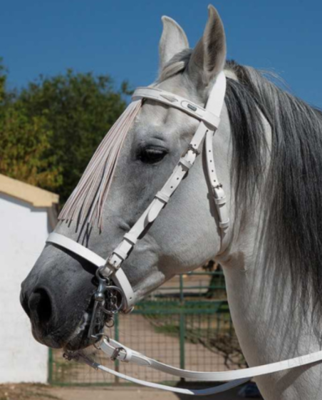 MARJOMAN - Bridon Vaquero Jerezana