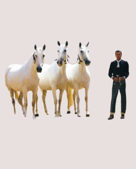 Collier/ Cobra de présentation