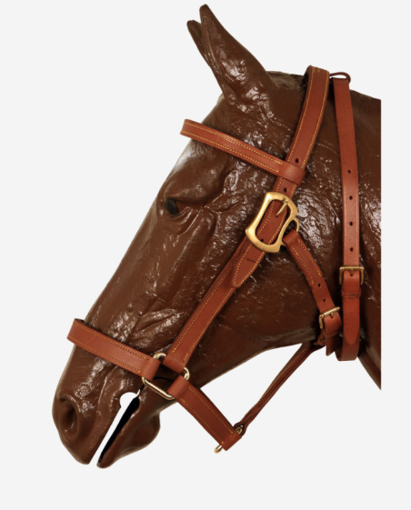 Licol Portugais traditionnel artisanal