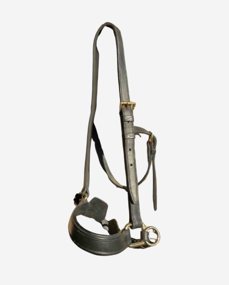 Licol portugais artisanal noir BF