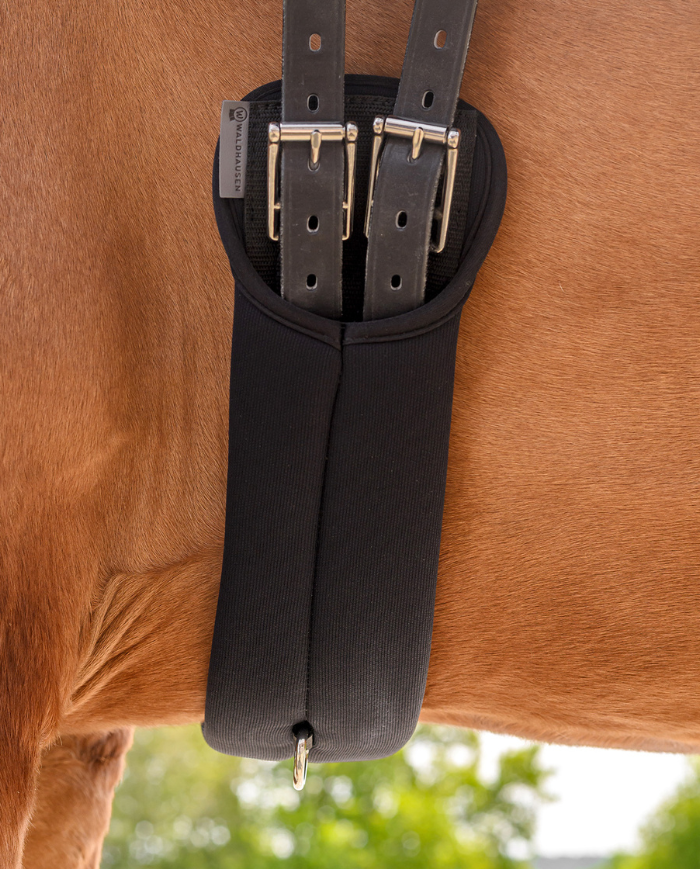 WALDHAUSEN - Sangle de dressage Memory Foam