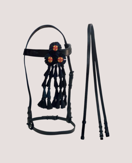 Bridon vaquero avec mosquero et rênes