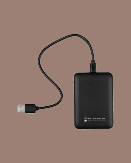 WALDHAUSEN - Batterie externe