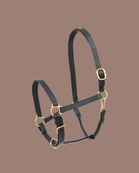 WALDHAUSEN - Licol en cuir Robust