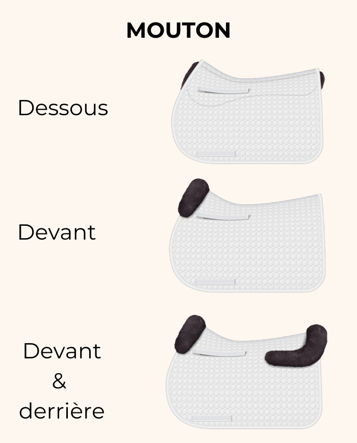 MATTES - Tapis dressage eurofit