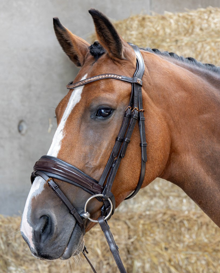 HARRY HORSE - BRIDON COPPER ROSEGOLD