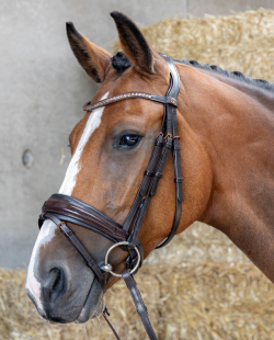HARRY HORSE - BRIDON COPPER ROSEGOLD