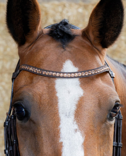 HARRY HORSE - BRIDON COPPER ROSEGOLD