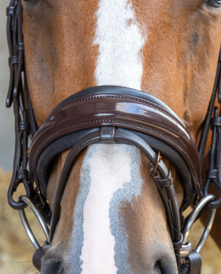 HARRY HORSE - BRIDON COPPER ROSEGOLD