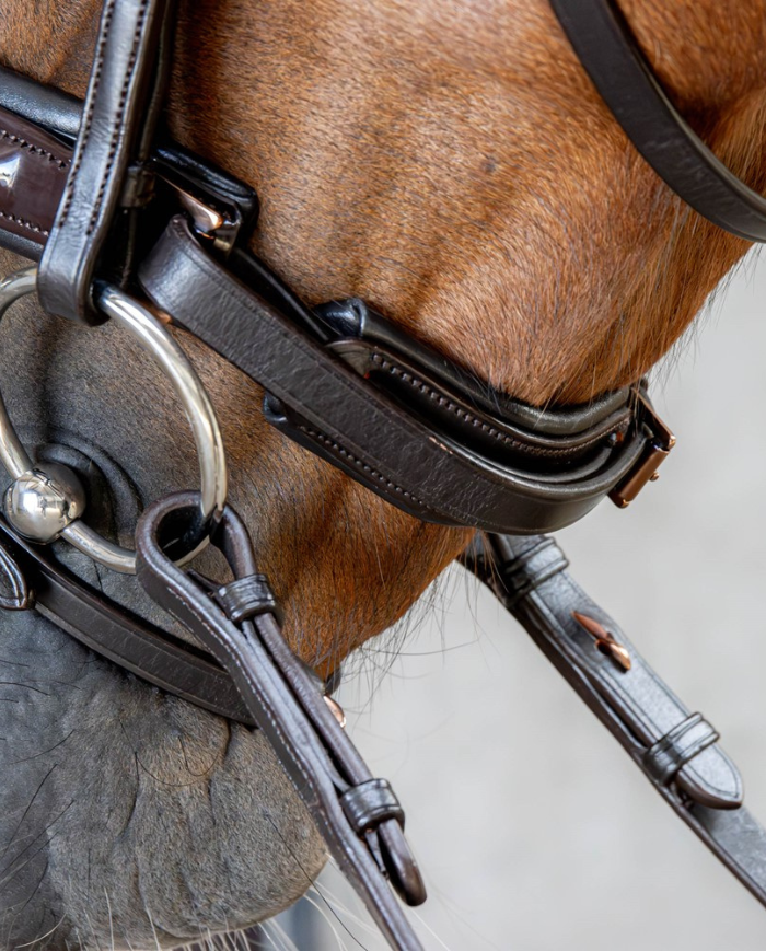 HARRY HORSE - BRIDON COPPER ROSEGOLD