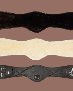 LEMIEUX - Sangle dressage cuir et laine synthétique