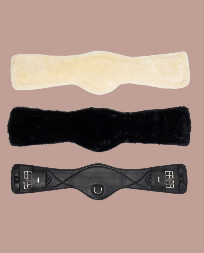 LEMIEUX - Sangle dressage cuir et laine synthétique