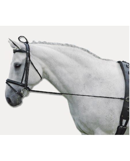 Elongateur d'encolure élastique