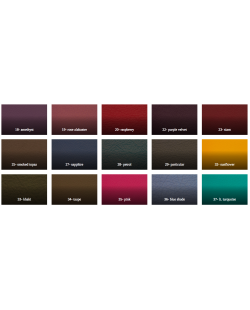 OTTO SCHUMACHER - Licol