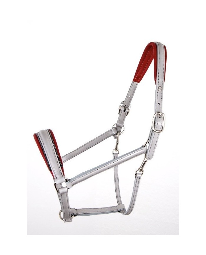 OTTO SCHUMACHER - Licol