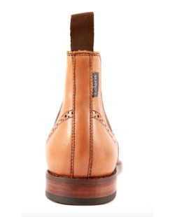Boots CELERIS modèle  Mistral