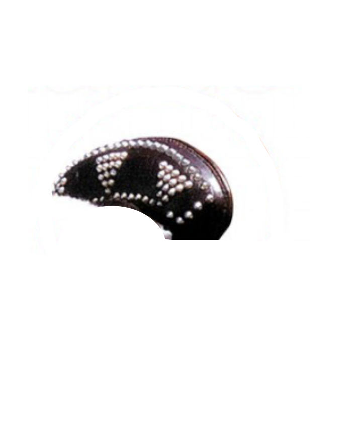 ZALDI - Selle portugaise LUSITANUS Borren