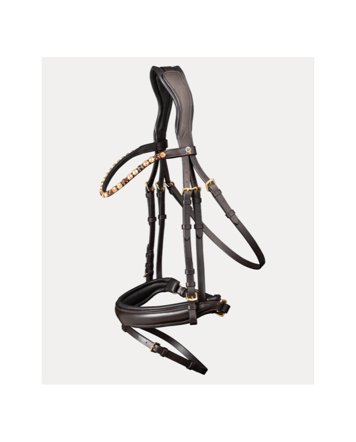 Bridon X-line Goldheart Waldhausen MARRON