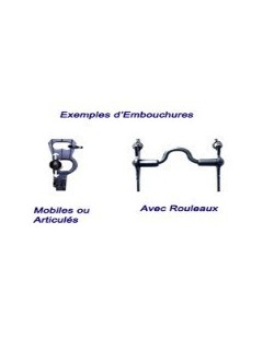 Mors Vaquero avec embouchure nº7 barre courbe