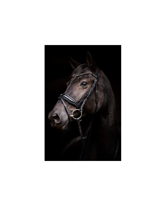 Bridon Evalira éclats noir, cristaux, medley, vernis
