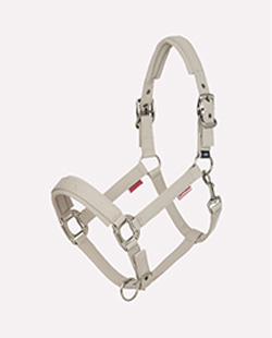 licol-essence-stone-noyau