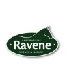 Ravène