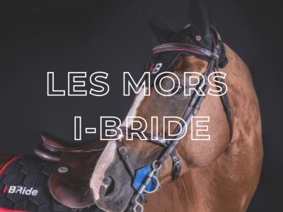 LES MORS IBRIDE - ESSAIS